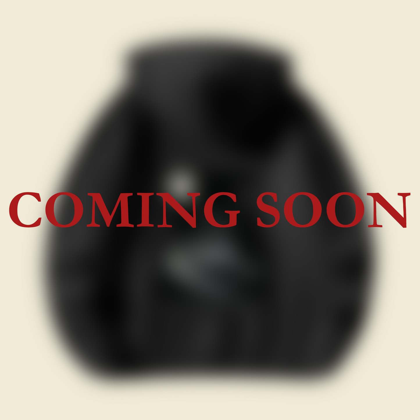 BWC Hoodie (Coming Soon)